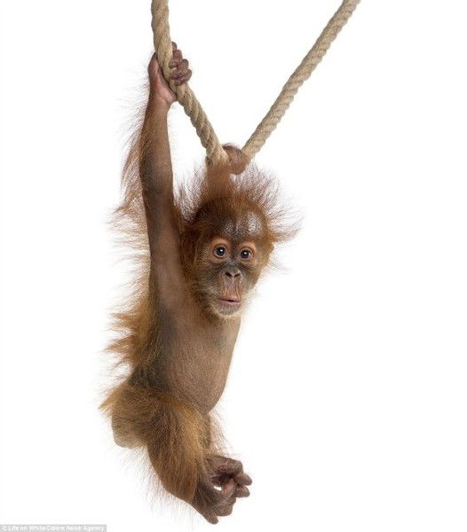 Лилия Гаврилова