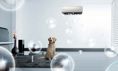 Алекс Алекс