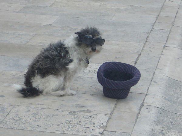 Юлия Шмелева