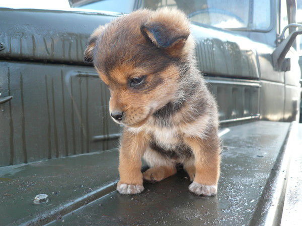 Люба Жигалова