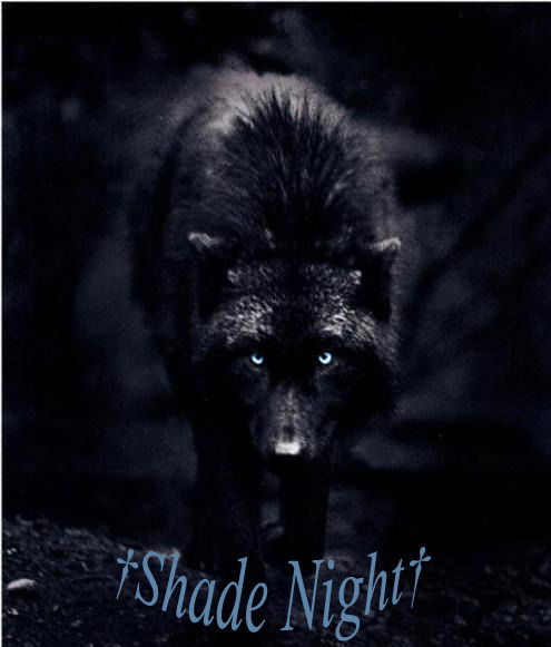 Ильяс Aбдимомунов