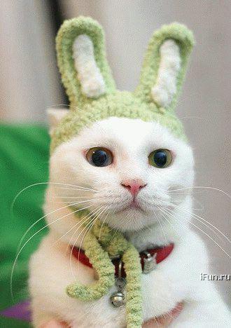 Снежана Стреж