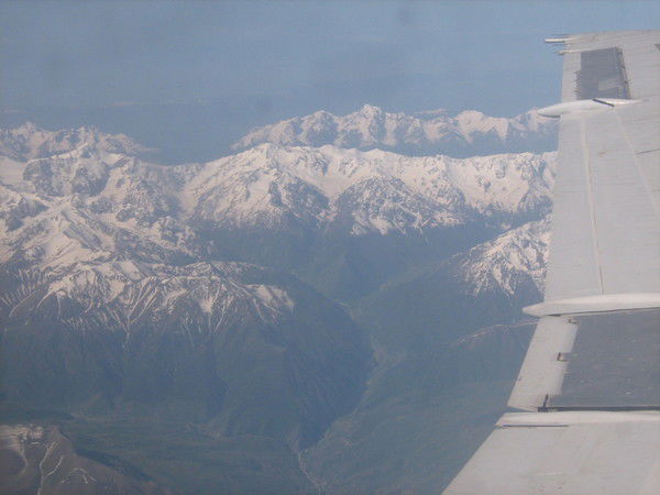 Тимур Cтаценко