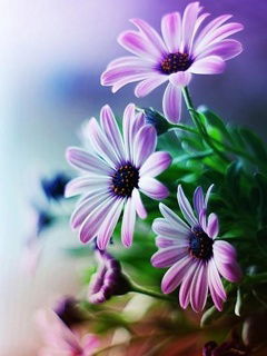 Гулмира Кидирова