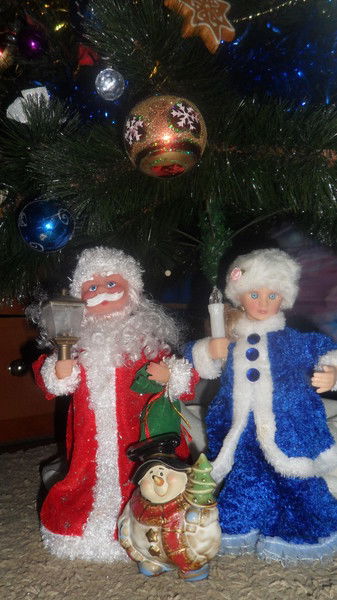 Дарья Горбунова