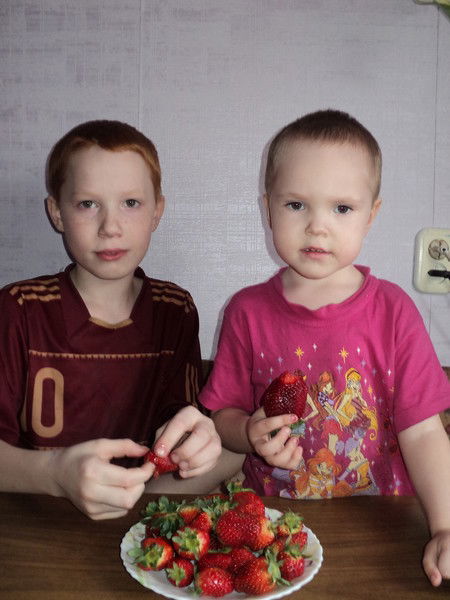 Николай Богданов