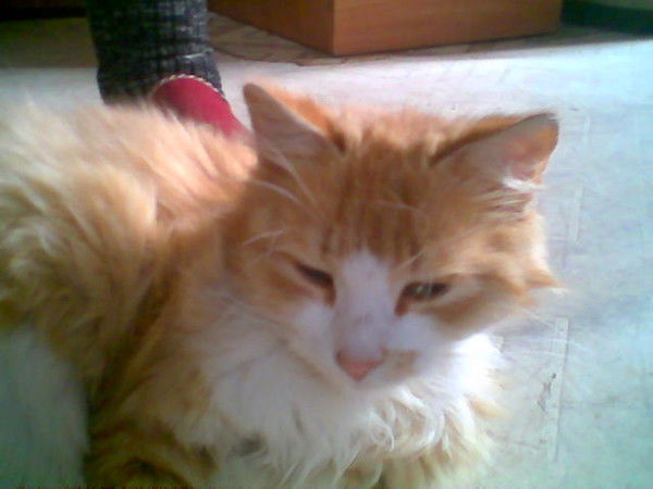 Мудак Скубак