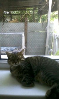 Ербол Омаров