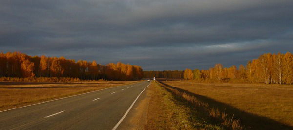 Павел Степаненко