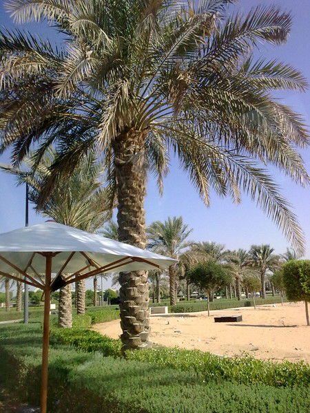 Людмила Вазинбург