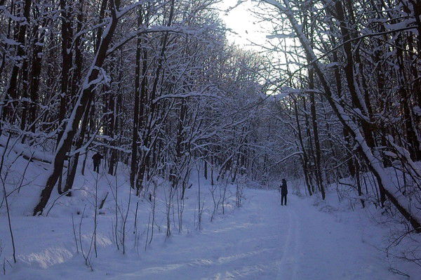 Петр Черников
