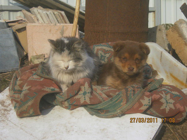 Евгения Кузьмицкая