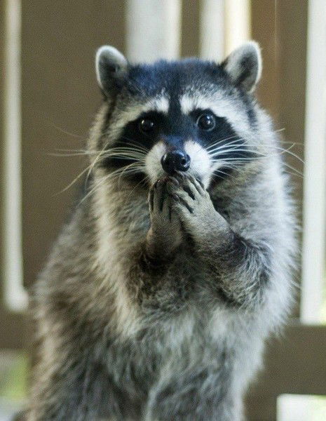 Наталия Без Фамилии