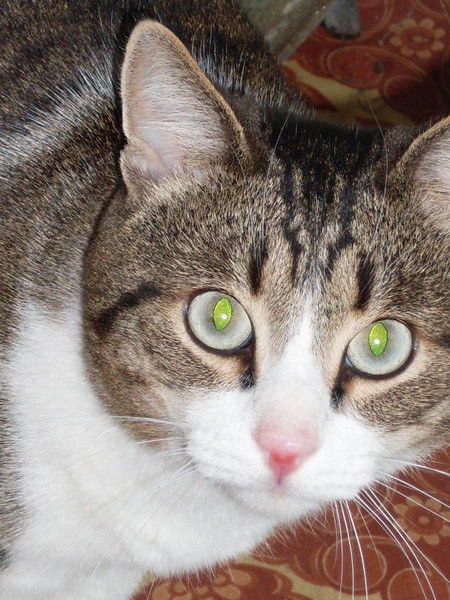 Вера Микова