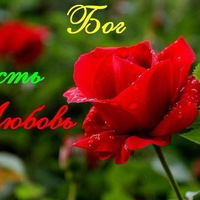 Ольга-Гермогеновна Гостева