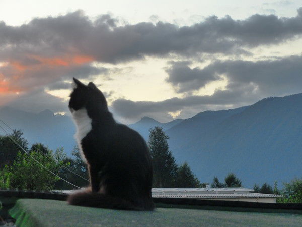 Виктор Мукомел