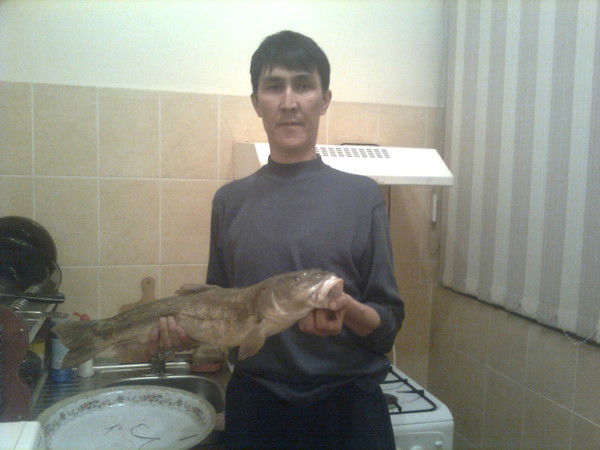 Манас Нагашбеков