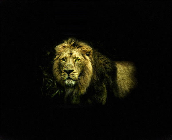 Азамат Турсынов