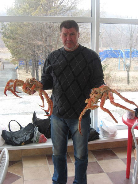 Владимир Походзей