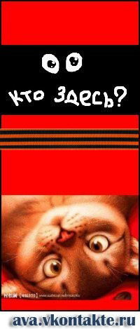 Наталья Арасланова