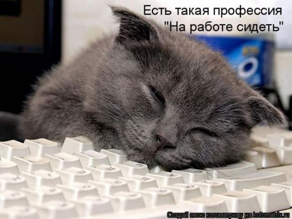 Гульнур Сарбасовна