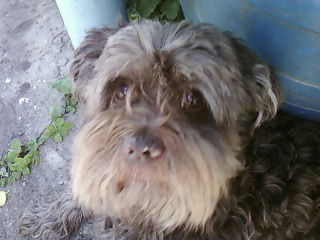 Светлана Гордеева