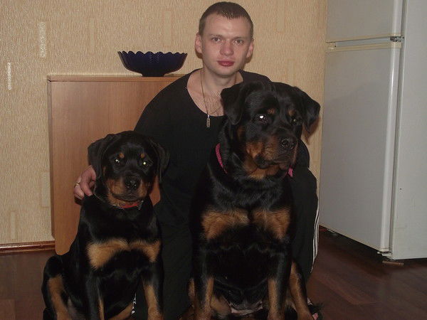 Станислав Васеха