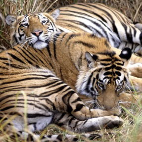 Главатских Виктор