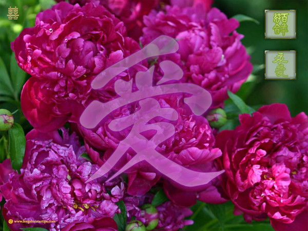 Алёна Понисаева