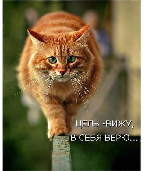 Умед Шомуродов