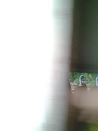 Михаил Абрамов