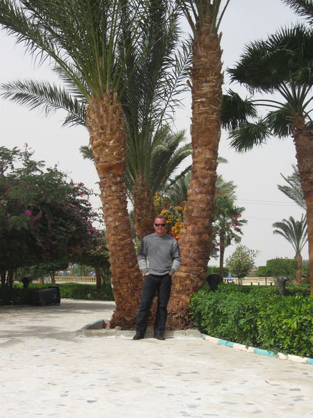 Андрей Горохов