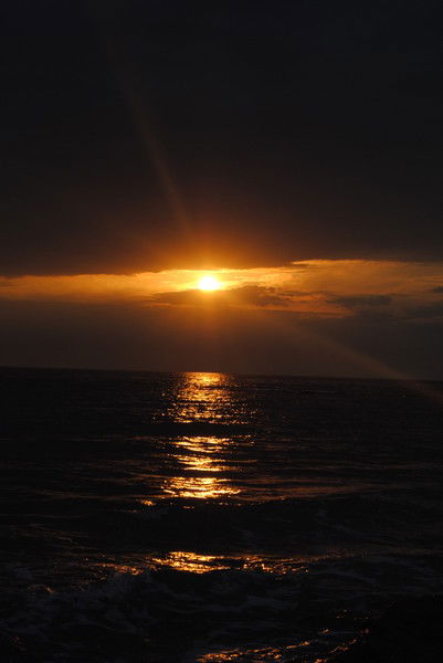 Светлана Прокопенко