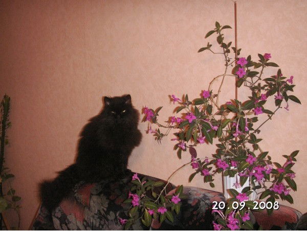 Людмила Рахнова