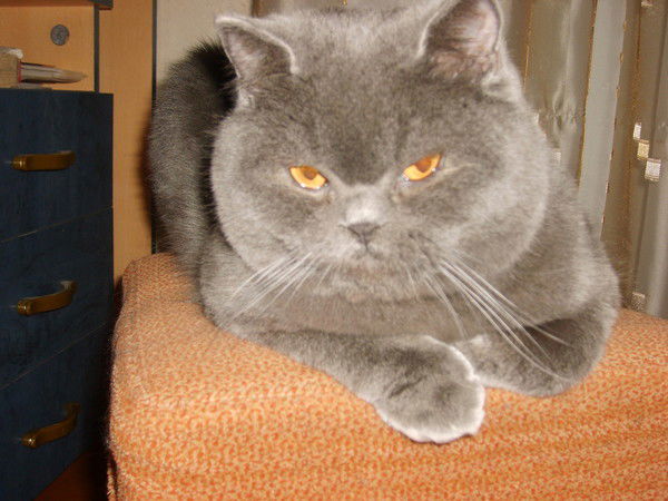 Александр Кудряшов