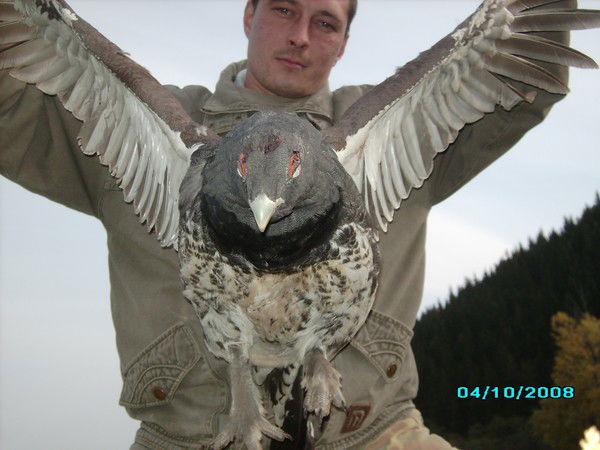 Максим Агеев