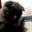 Елена @@@@