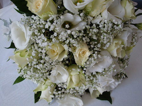 Нелли Римджюс