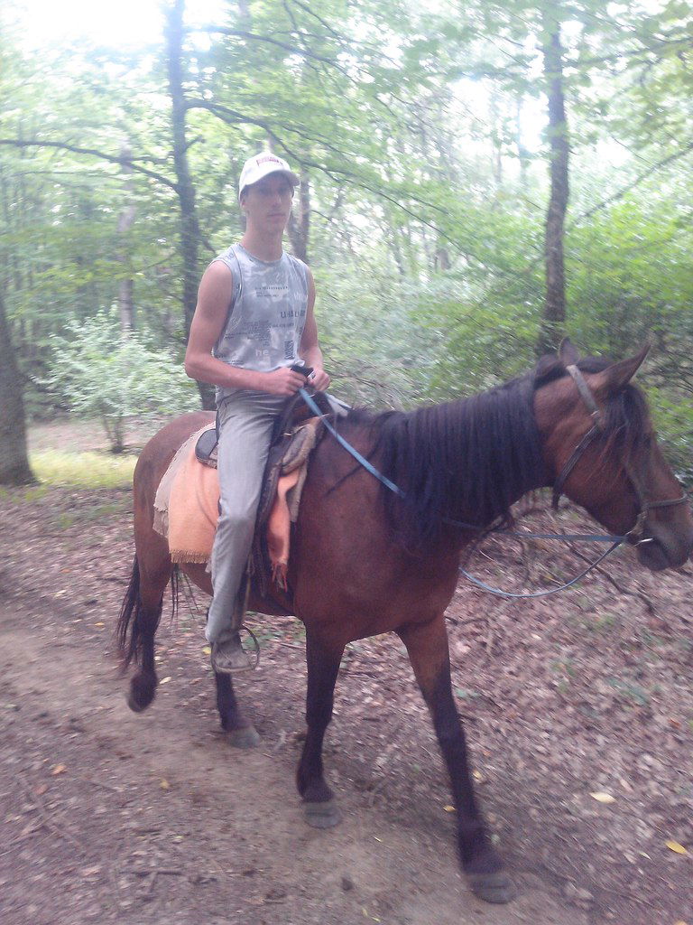 Антон Гаевский