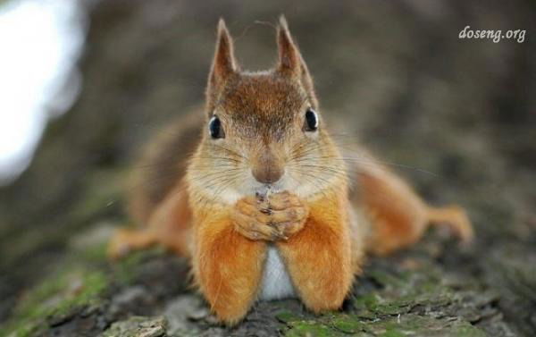 Светлана Матреничева