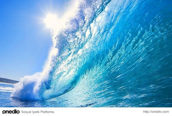 Марина Горнова