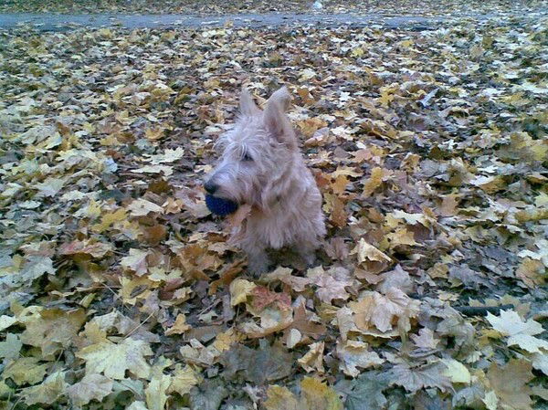 Жанна Овсянникова