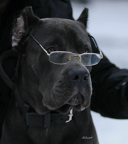 Виталий Ставинский