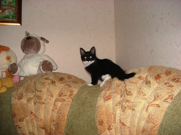 Асташкова Ирина