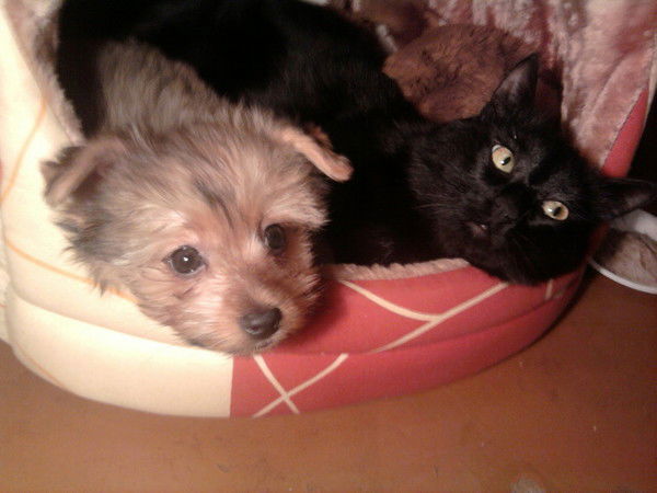 Юра Лукьянчик