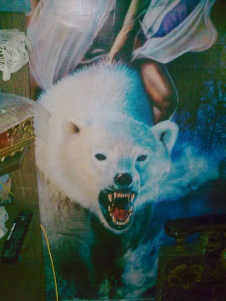 Александр Дудкин