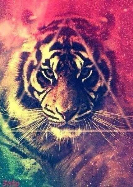 Алина Черезова