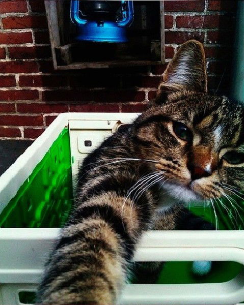 Ильнур Мухаметов