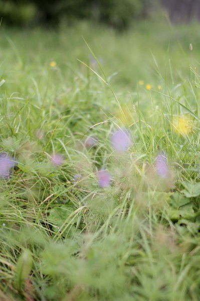 Наталья Киселева