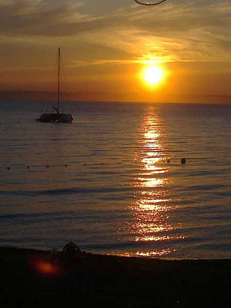 Максим Курашкин